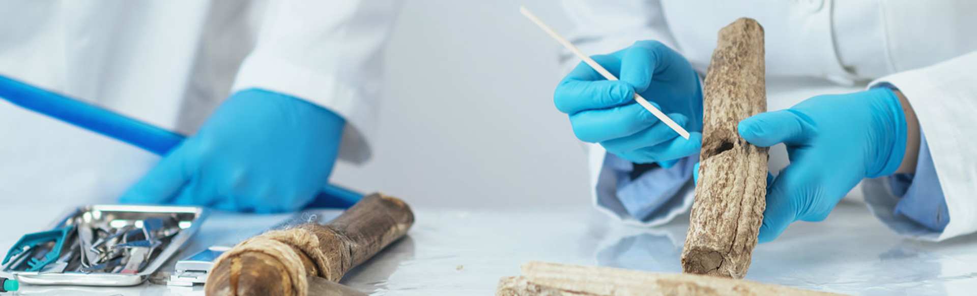 University of Padova Master of Applied Sciences to Cultural Heritage Materials and Sites