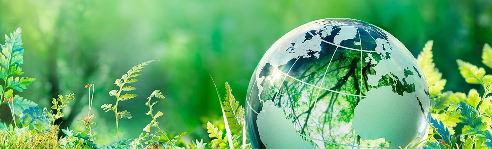 University of Padova Master of Science in Environmental Sustainability and Education