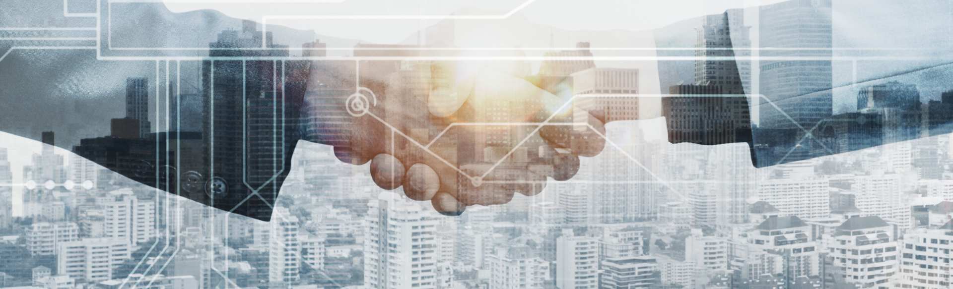 MELIUSform Business School Master în Resurse Umane (HR)