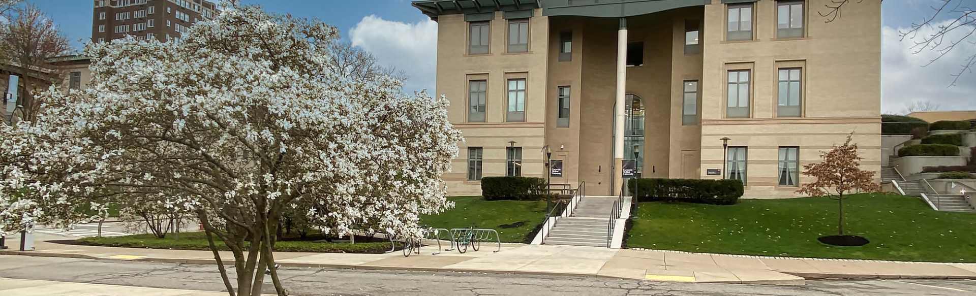 Carnegie Mellon University Department of Languages, Cultures & Applied Linguistics Masters in Applied Linguistics & Second Language Acquisition