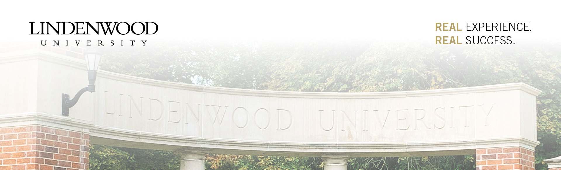 Lindenwood University Cellulaire en Moleculaire Biologie (BS)