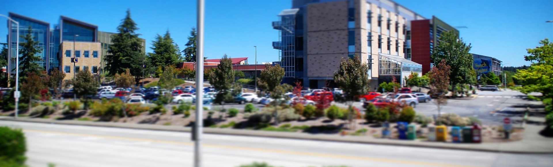 Tacoma Community College Associate of Arts - Spezialisierung in Anthropologie