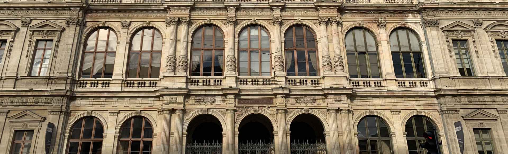 ESDES Lyon Business School Master in International Business Administration