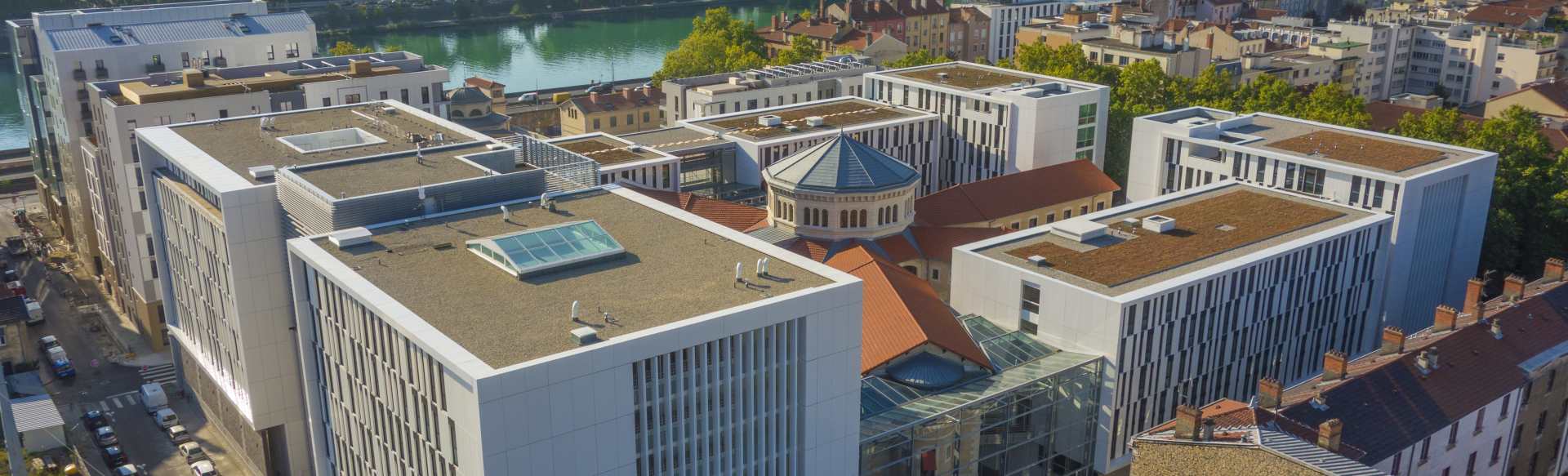 ESDES Lyon Business School Bachelor in International Business