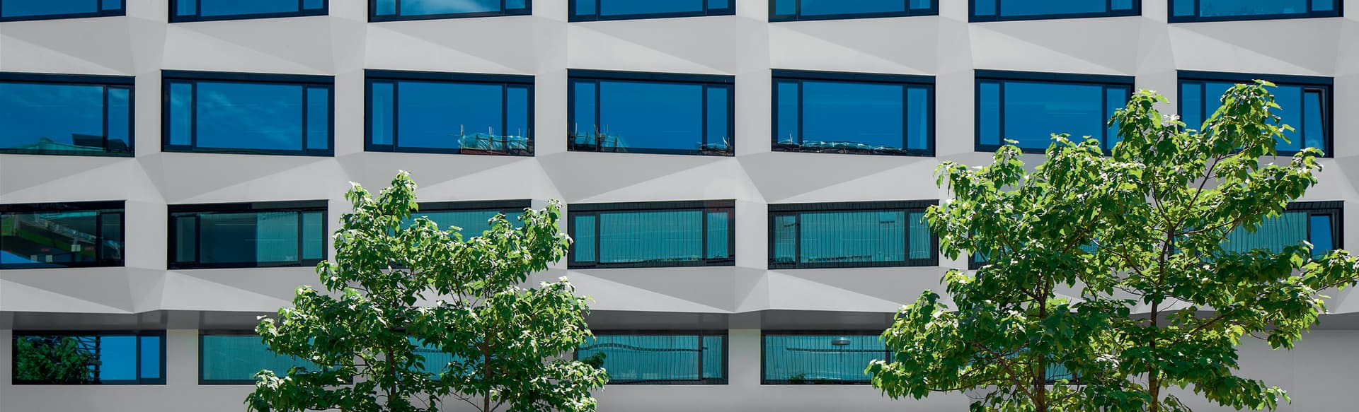University of Lucerne - Faculty of Health Sciences and Medicine MA i helsevitenskap
