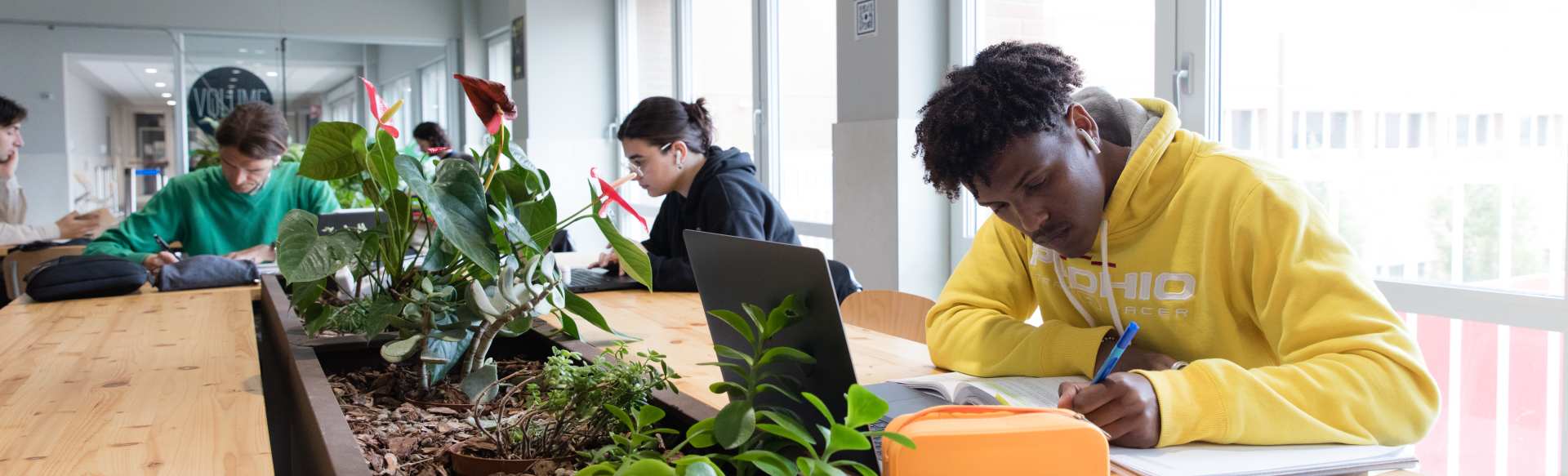 University of Bologna Máster en Greening Energy Market and Finance