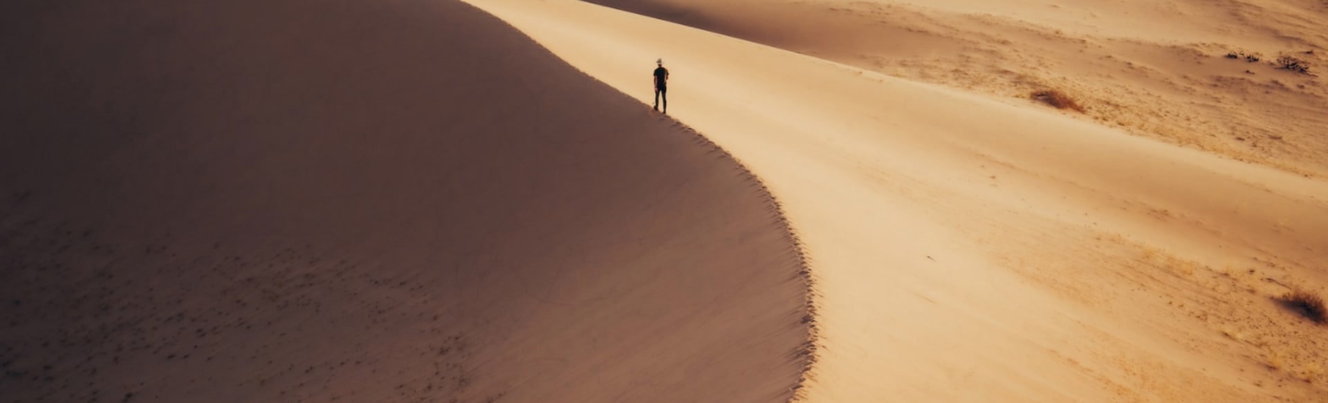 California Institute of Integral Studies ماجستير الآداب في الفلسفة وعلم الكون والوعي