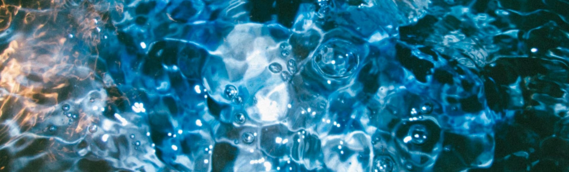 California Institute of Integral Studies Ph.D. in Human Sexuality