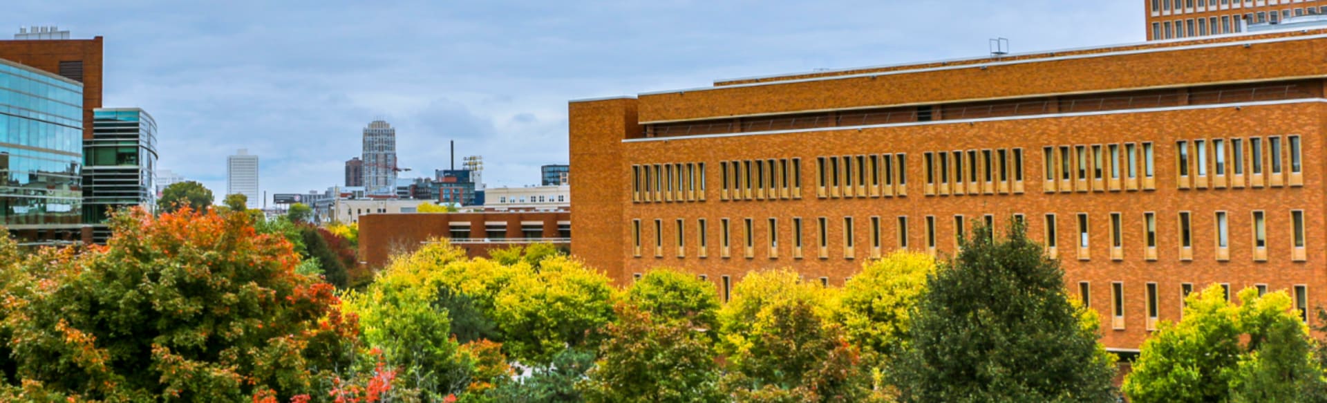 University of Minnesota – Carlson School of Management High Net-Worth Individual Taxation Graduate Certificate