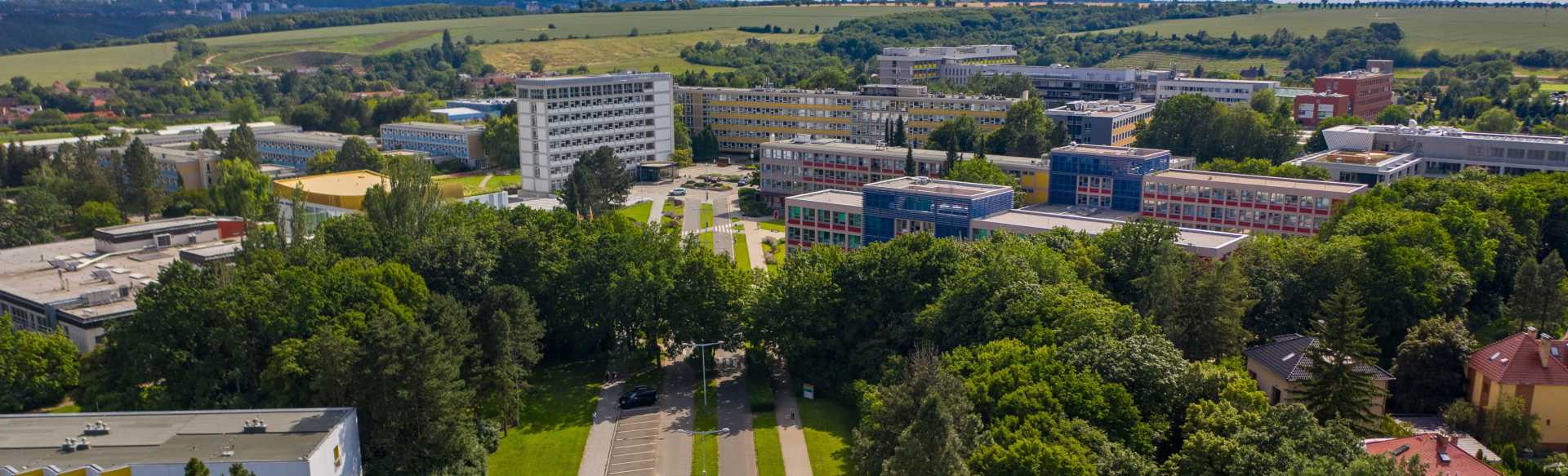 Czech University of Life Sciences Prague Bachelor's in Forestry, specialization Forest Ecosystems Protection and Silviculture
