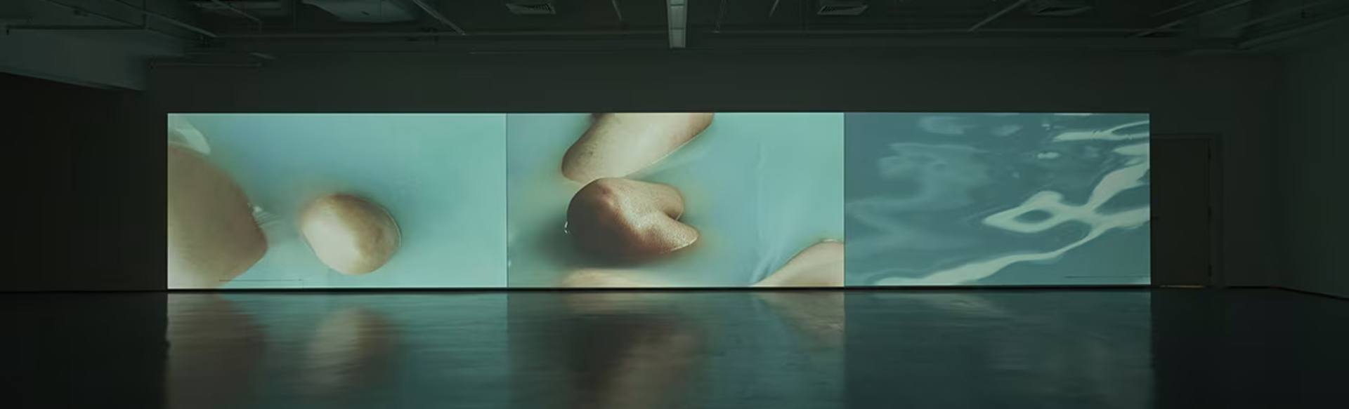 LASALLE College of the Arts MA Schone Kunsten