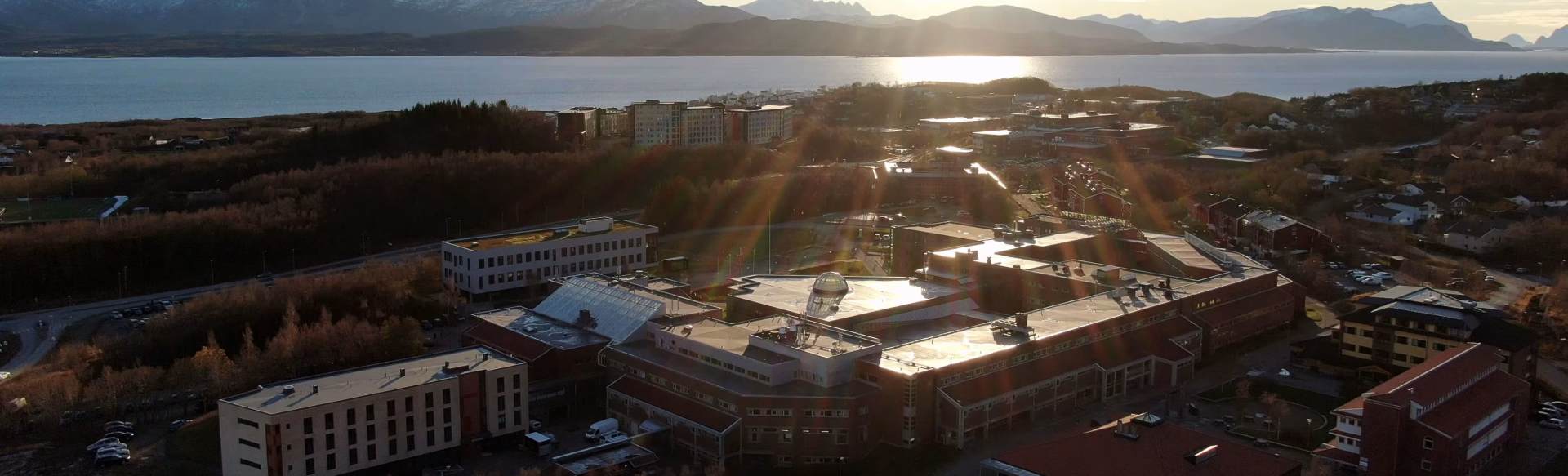Nord University - Business School Master Of Science En Gestion Globale