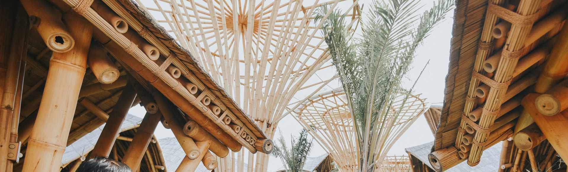 StudyInBali دراسة الهندسة المعمارية الاستوائية والتصميم الداخلي والأخضر في الخارج
