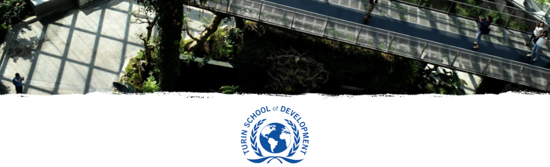 Turin School of Development (International Training Centre of the ILO) Master in Social Innovation for Sustainable Development