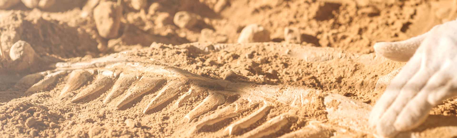 Universitat de Barcelona Master's Degree in Advanced Studies in Archaeology