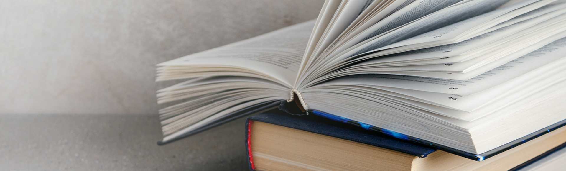 Universitat de Barcelona Master's Degree in Research in Language and Literature Teaching