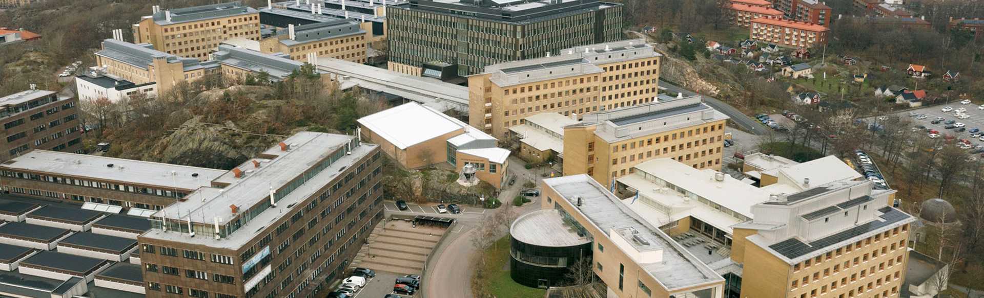 University of Gothenburg, Sahlgrenska Academy (Faculty of Medicine) Master's in Public Health Science