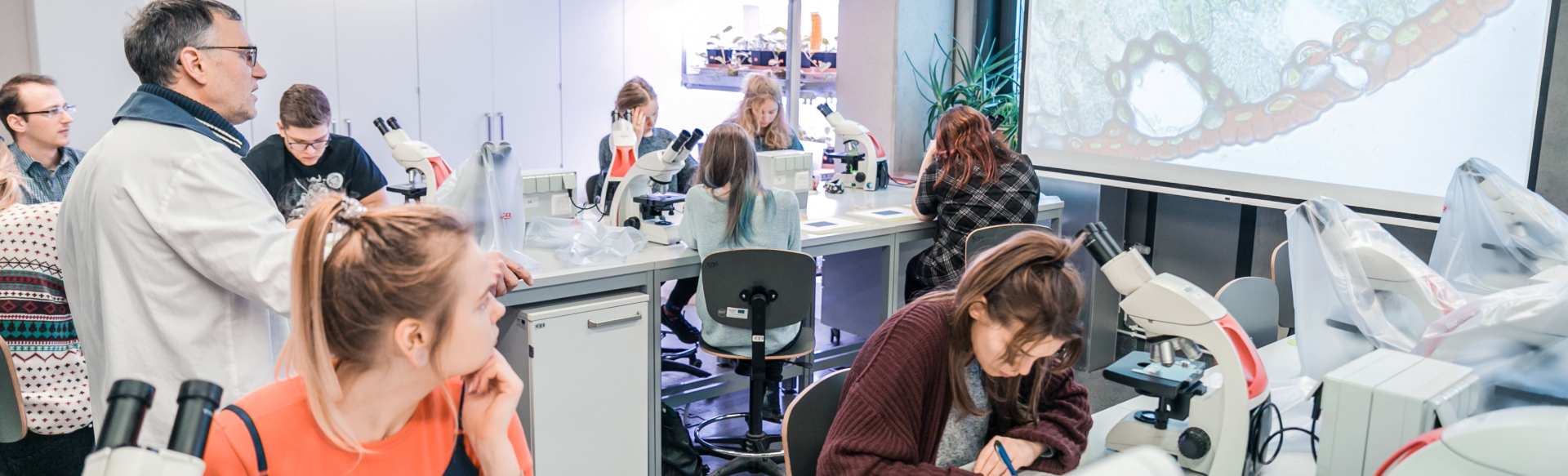 University of Latvia Bachelor in biotechnologie en bio-engineering in samenwerking met de Technische Universiteit van Riga