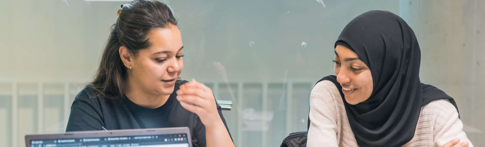University of Latvia Master in Project Management