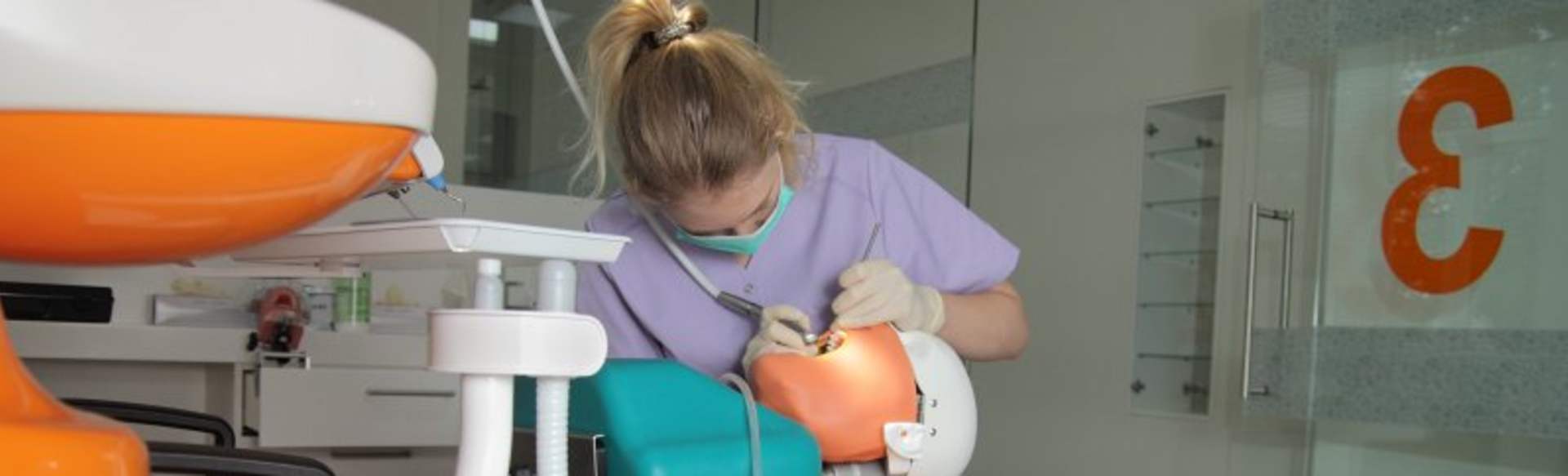 University of Latvia Programa de Estudos Profissionais Superiores Odontologia