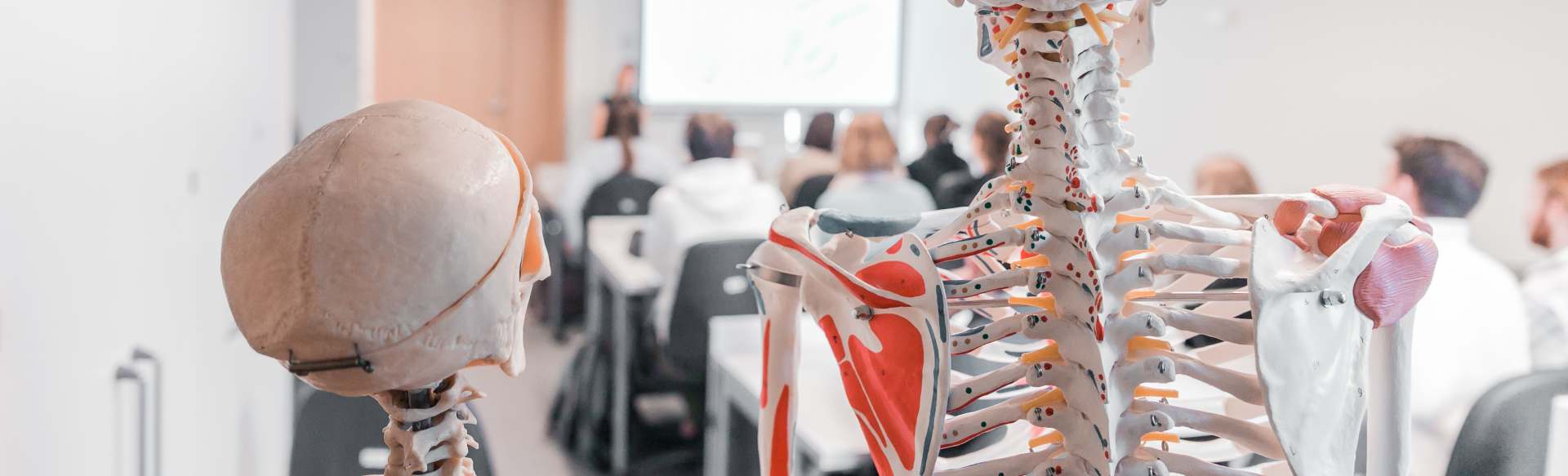 University of Latvia Master in educatieve behandeling van diversiteit