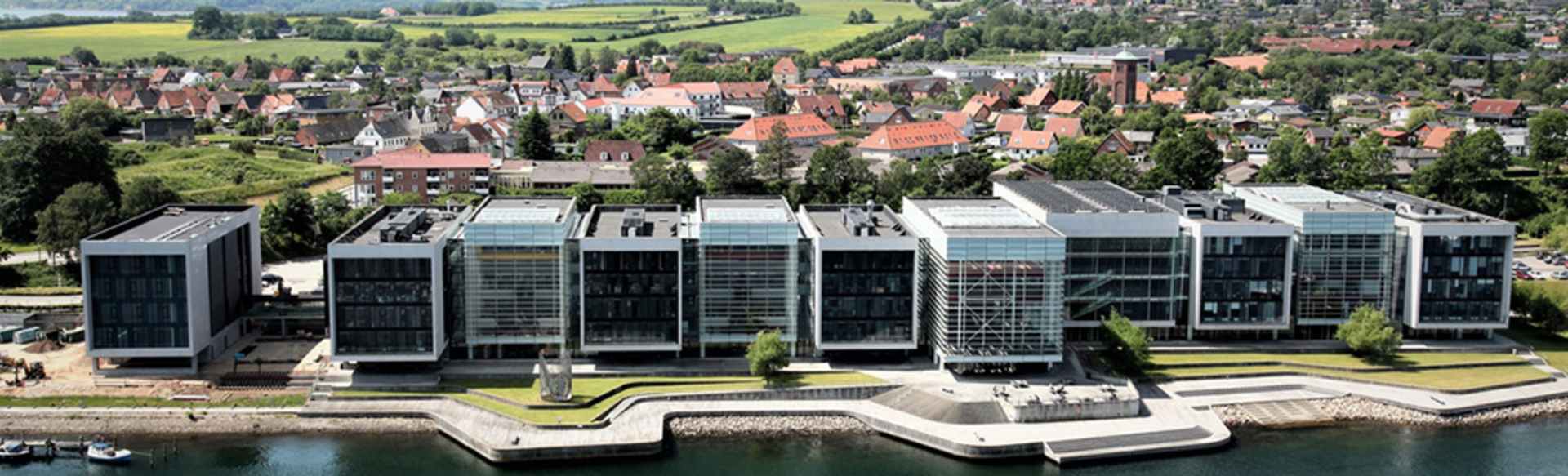 University of Southern Denmark Бакалавр з міжнародного бізнес-адміністрування та іноземних мов