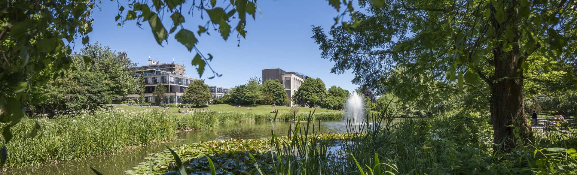 University of Bath Online Онлайновый магистр наук в области управления инженерным бизнесом