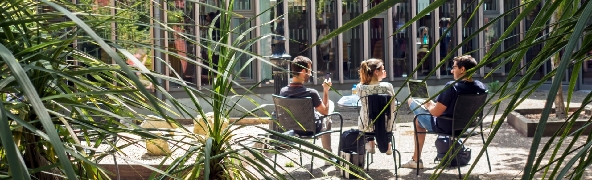 University College Dublin Máster en Finanzas Sostenibles