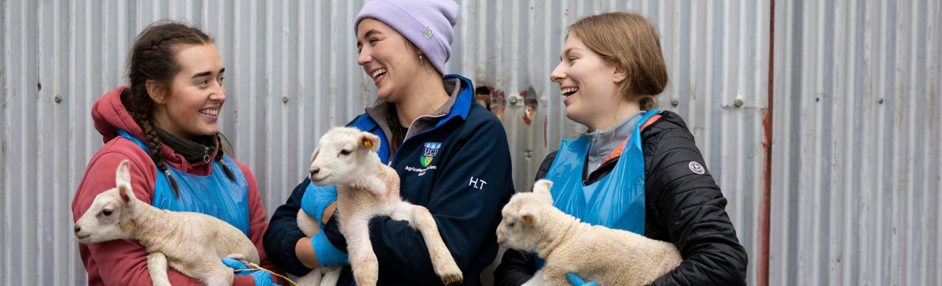 University College Dublin MSc Wildlife Conservation & Management