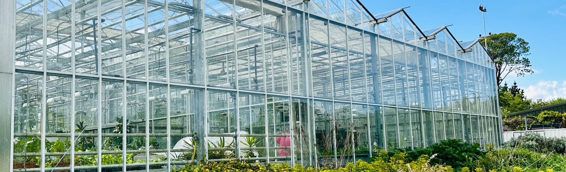 University College Dublin MSc Gartenbau