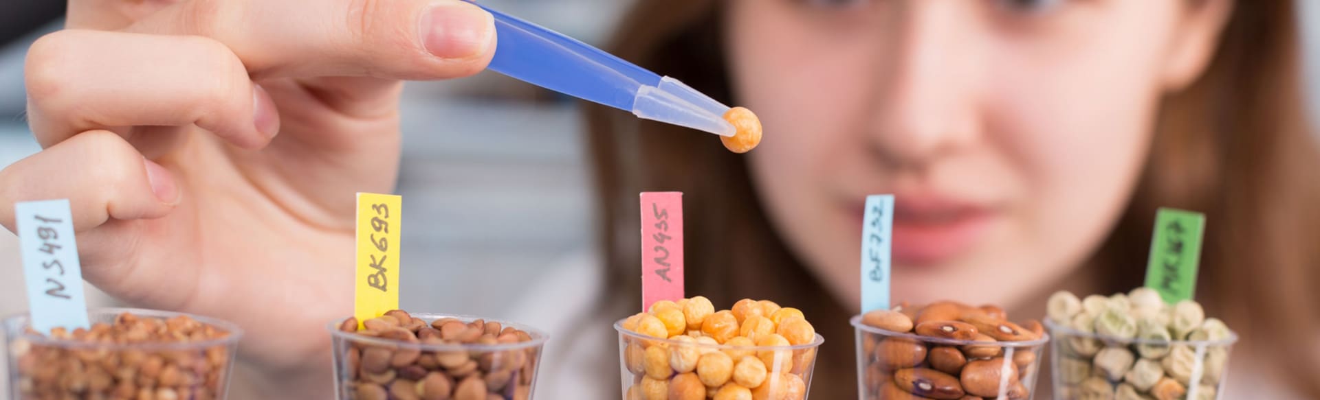 University College Dublin Maestría en Alimentación, Nutrición y Salud