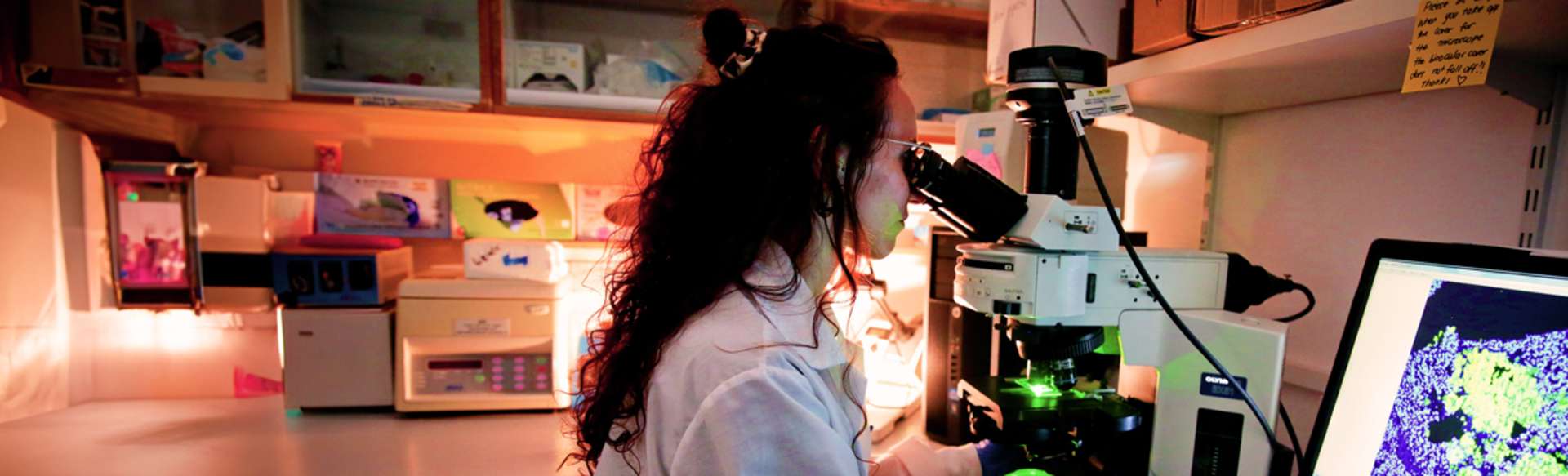 The Hebrew University of Jerusalem MSC in Biomedical Sciences, Faculty of Medicine