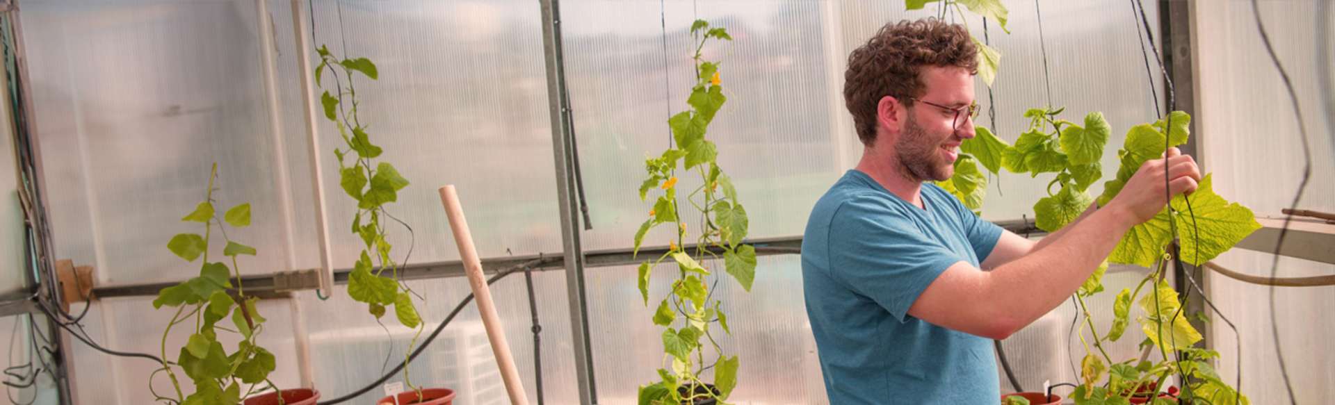 The Hebrew University of Jerusalem Master in Agroecologia e salute delle piante