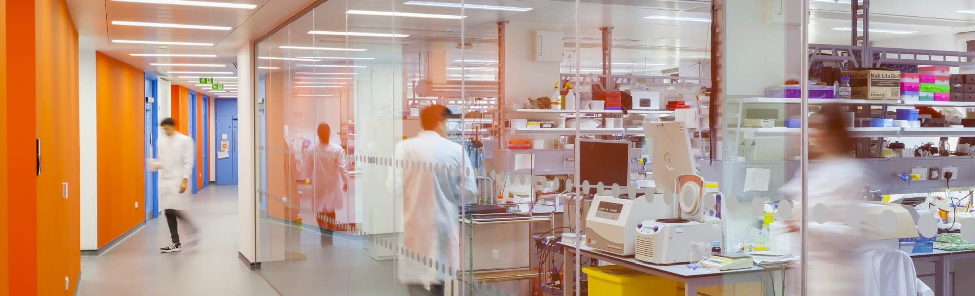 University of Bristol - Health and Life Sciences Máster en Salud y Conservación de la Fauna y Flora Silvestres
