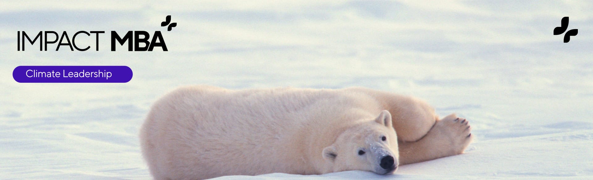 Tomorrow University of Applied Sciences MBA in Climate Leadership