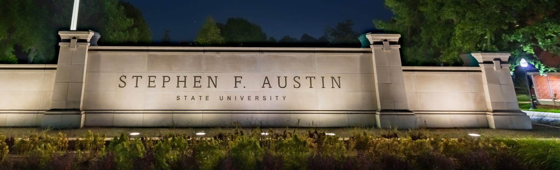 Stephen F. Austin State University ปริญญาโทสาขาวิทยาศาสตร์ธรรมชาติและประยุกต์
