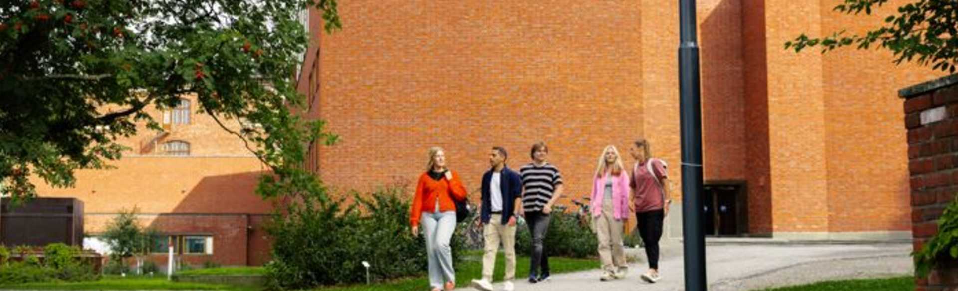 University of Jyväskylä Licenciatura en Innovación y Sostenibilidad Empresarial