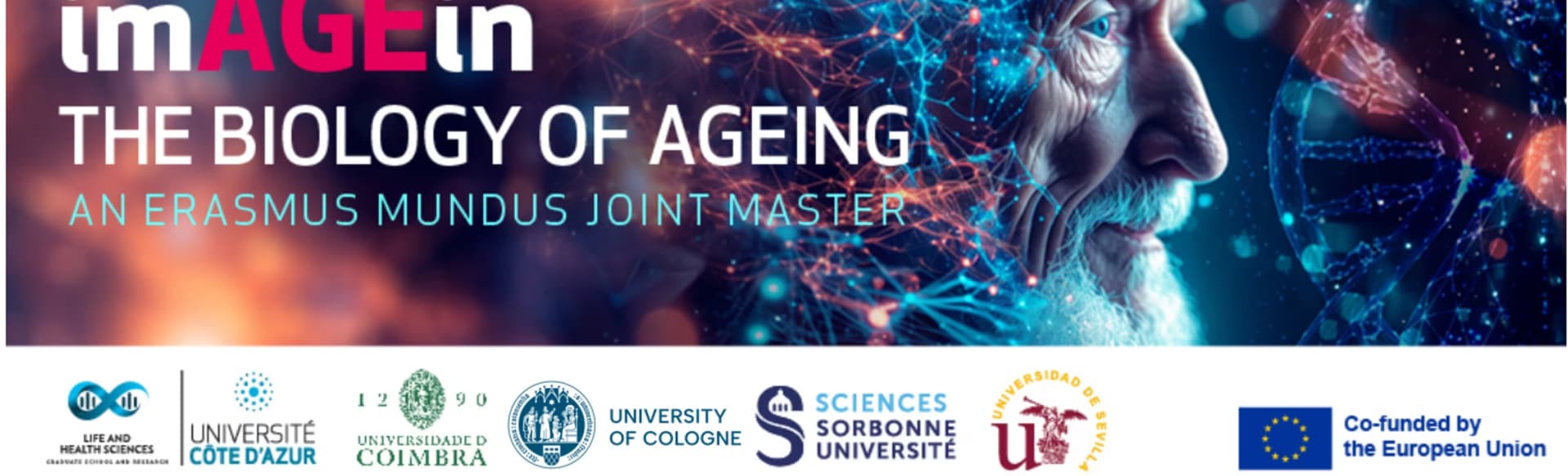 Université Côte d’Azur (UniCA) De EMJM Internationale Master over de biologie van het ouder worden: IMAgein