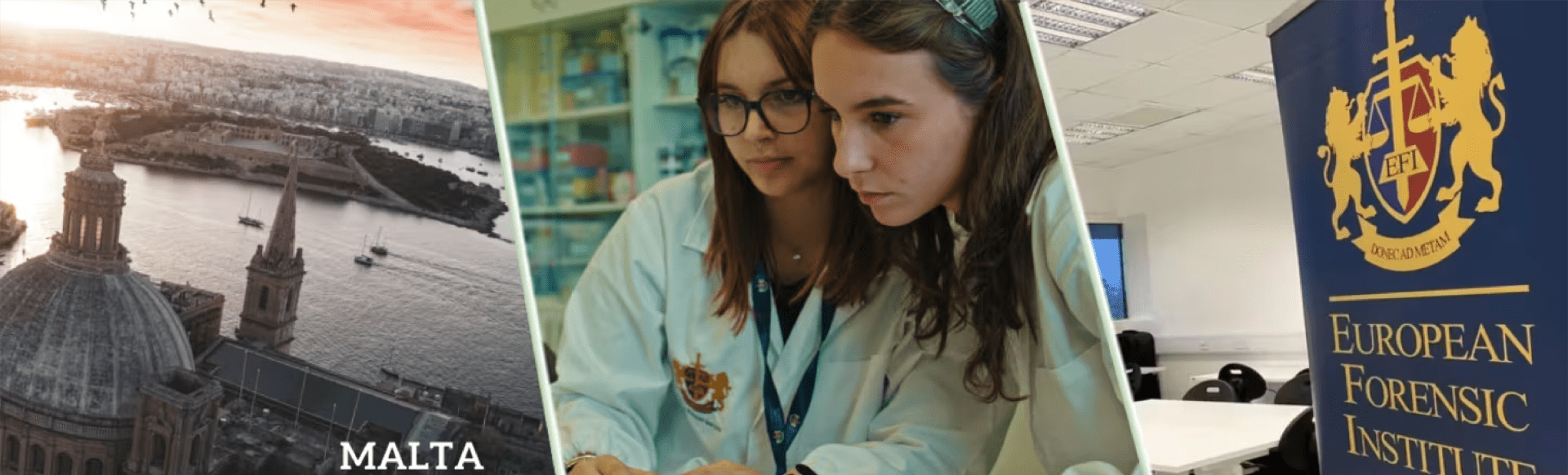 European Forensic Institute Máster en Gestión Empresarial, Delitos Financieros y Tecnologías Digitales