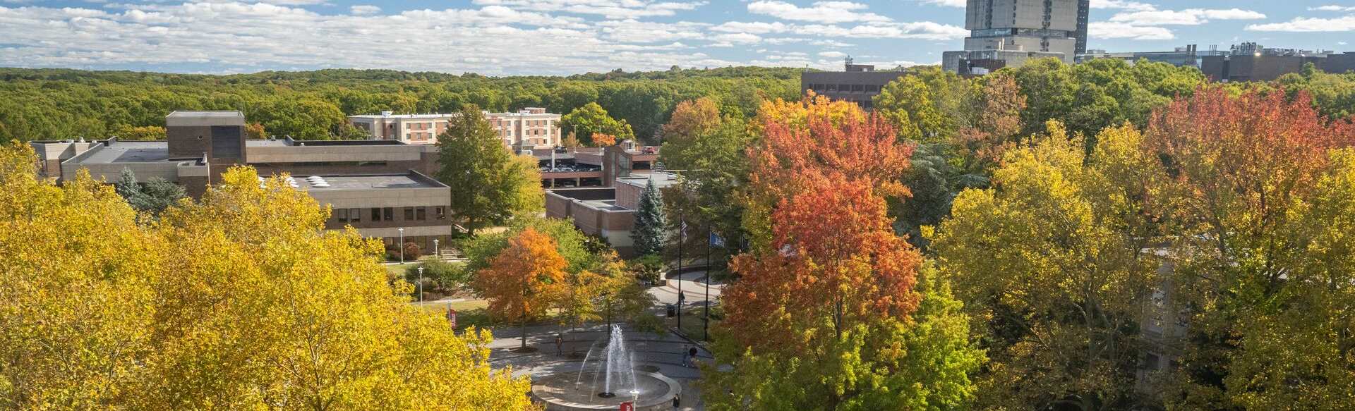 Stony Brook University College of Business Master of Science in Decision Analytics