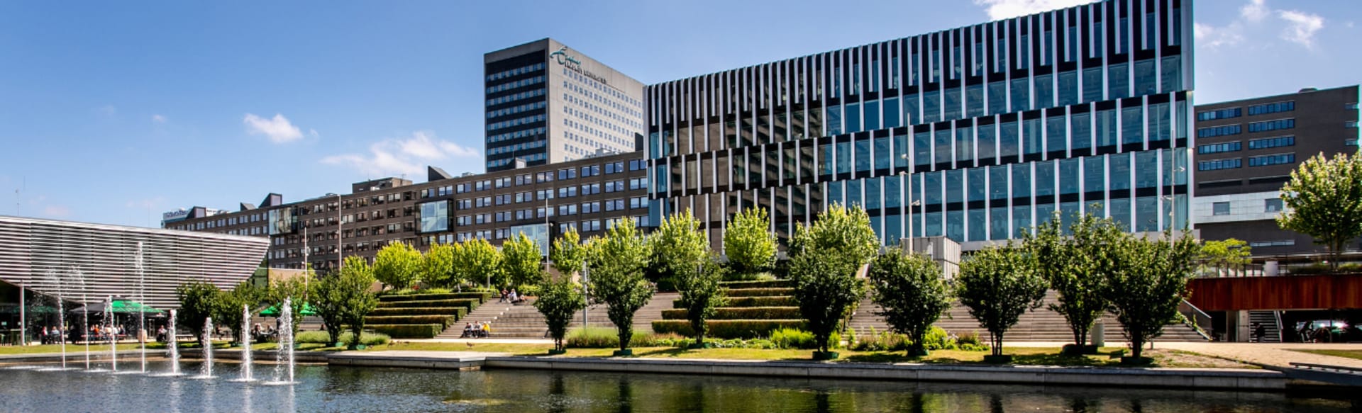 Rotterdam School of Management | Erasmus University Online MSc in Sustainability Management