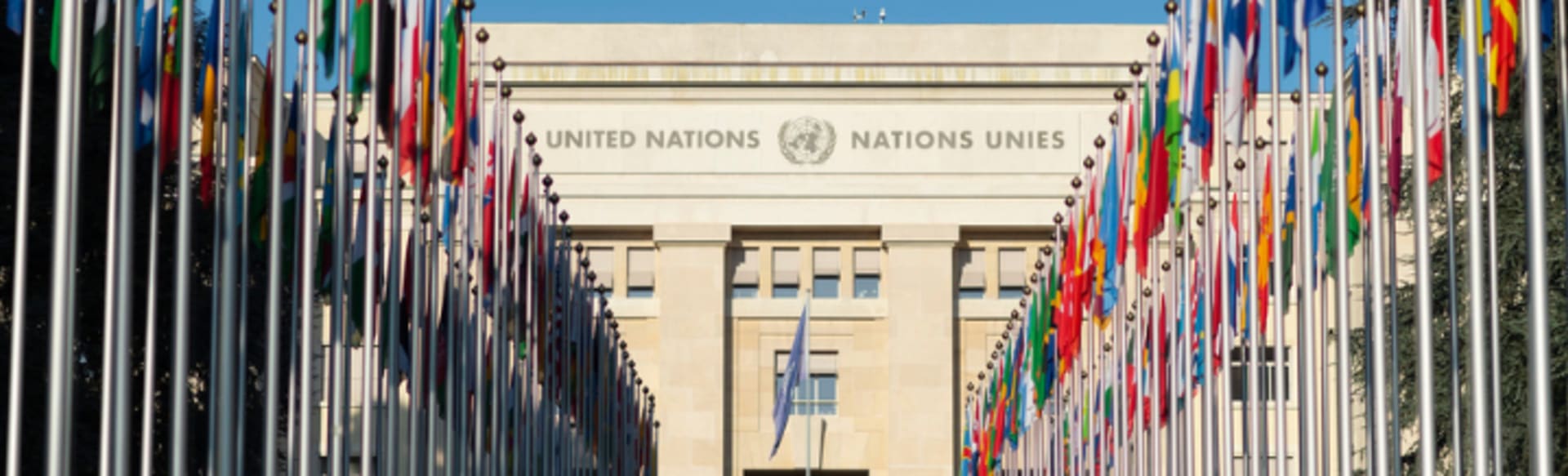 The United Nations Institute for Training and Research (UNITAR) Master i internationale anliggender og diplomati
