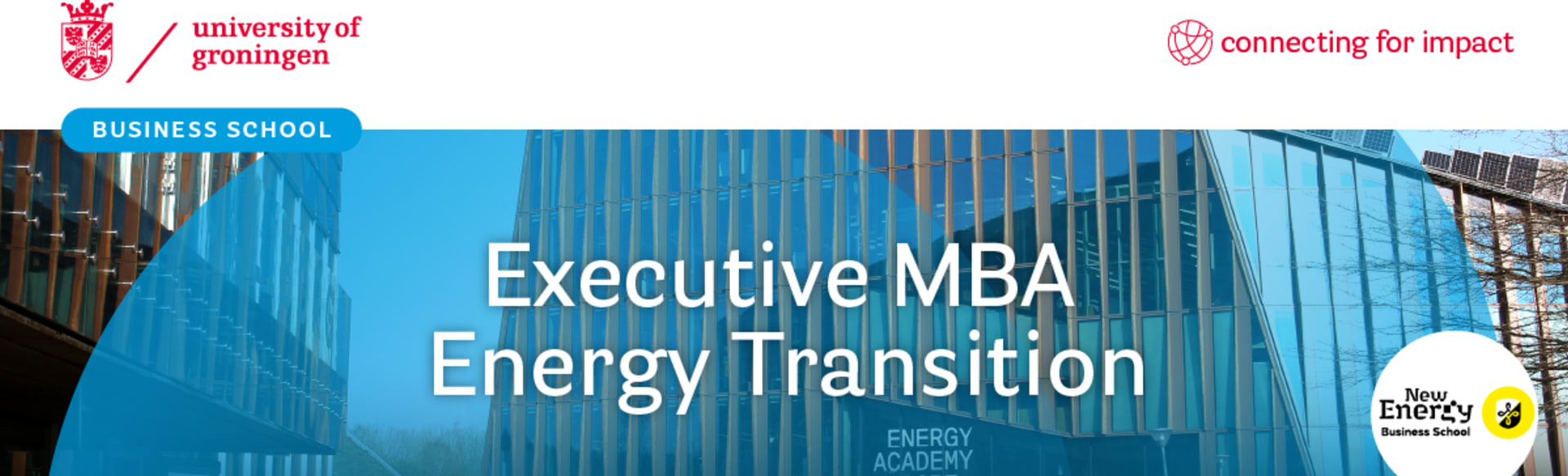 University of Groningen Business School Executive MBA Transición Energética