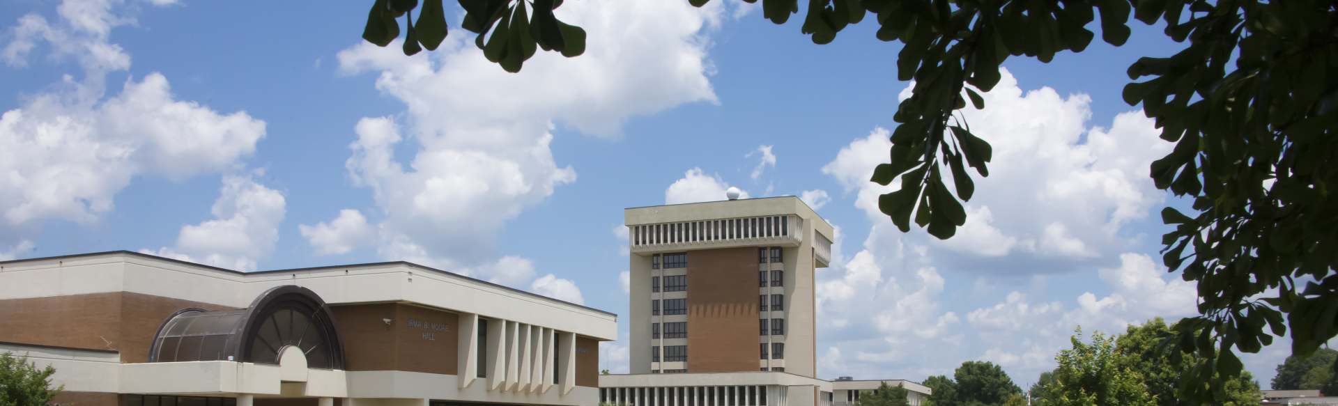 Auburn University at Montgomery Online Master of Healthcare Administration