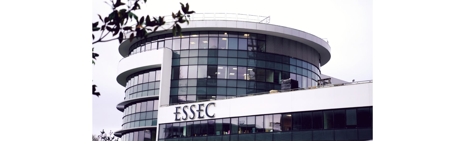 ESSEC Business School Maestría Especializada ® Dirección de Marketing y Digital (MMD)
