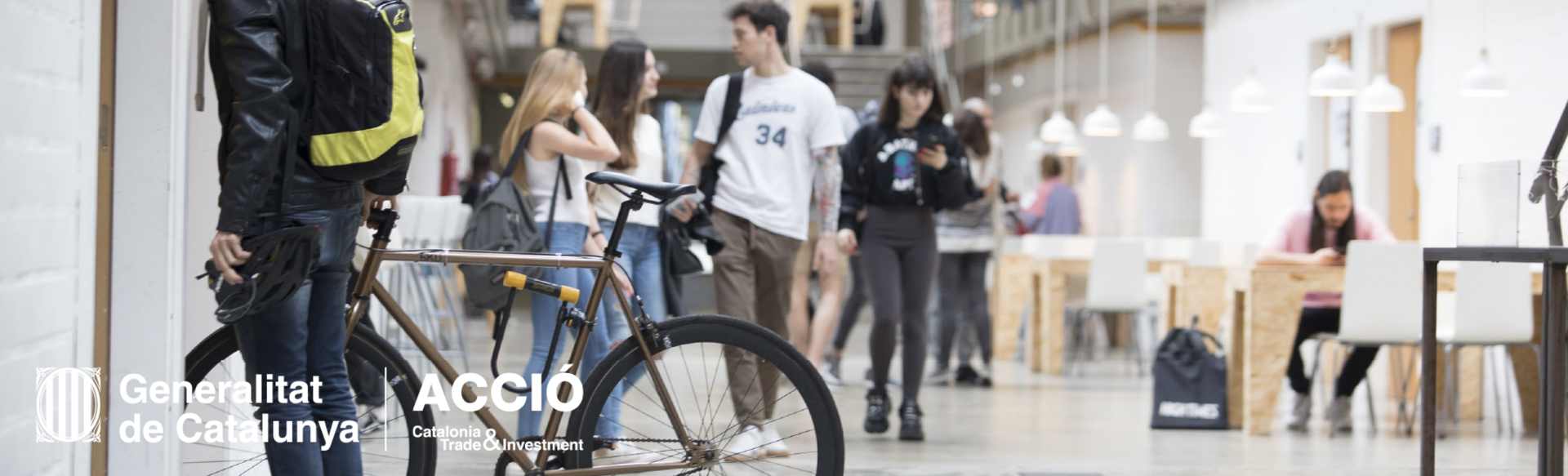 BAU, Centro Universitario de Artes y Diseño de Barcelona Master in Motion Graphics Design
