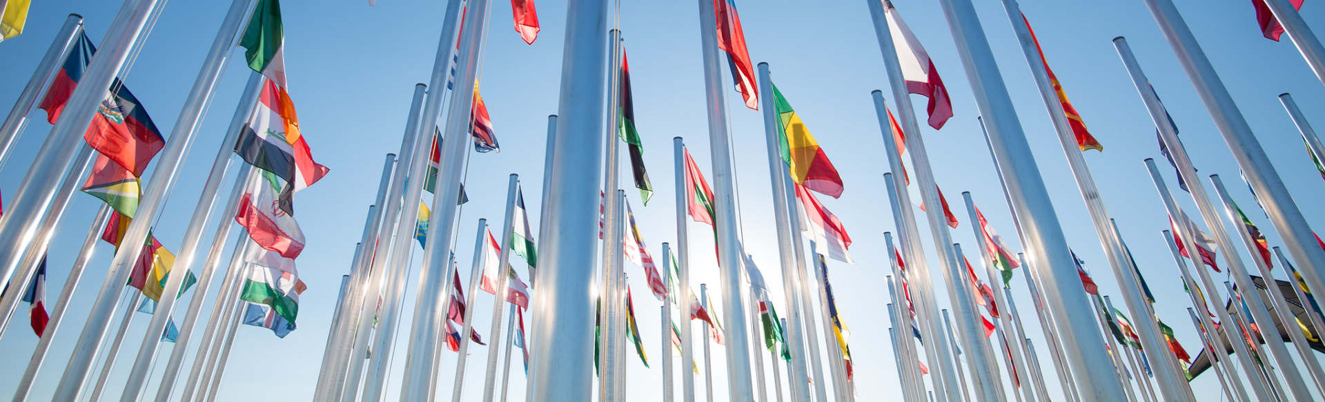 The United Nations Institute for Training and Research (UNITAR) Интернет-исполнительный магистр наук в области международных отношений и дипломатической практики (в партнерстве с Сетон Холл)
