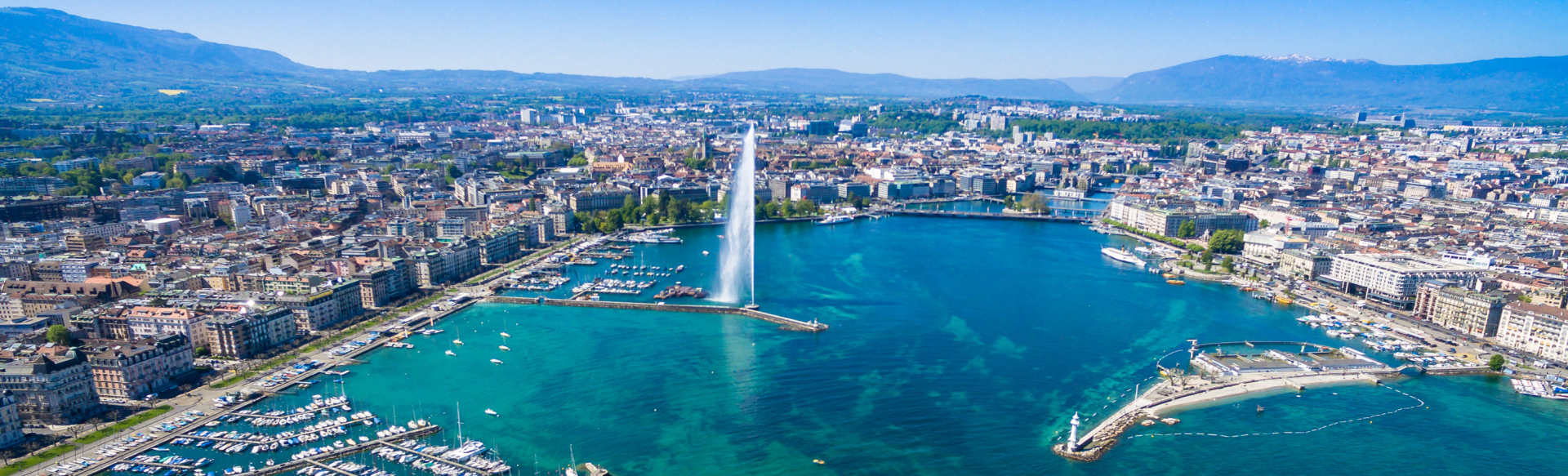 IFM Business School - Geneva Switzerland MBA în Afaceri Internaționale (3 acreditări)