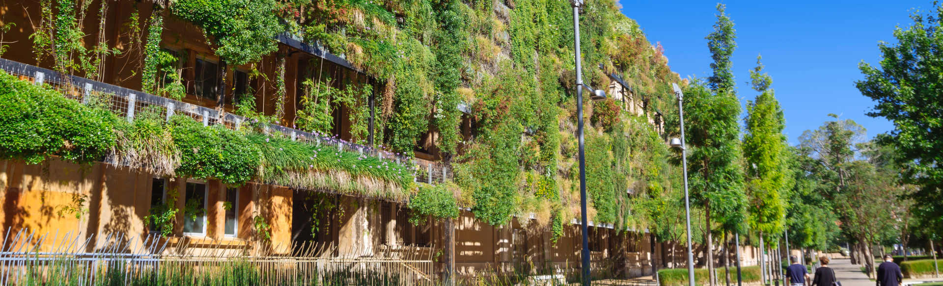 University of Antwerp Master of Bioscience Engineering: Sustainable Urban Bioscience Engineering (SUBE)