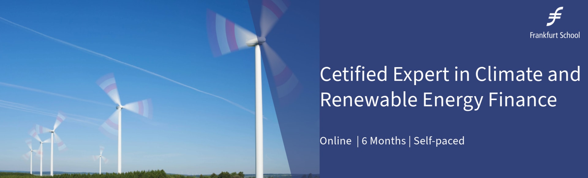 Frankfurt School of Finance & Management - Sustainable World Academy Chuyên gia được chứng nhận về tài chính khí hậu và năng lượng tái tạo